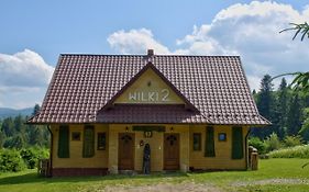 Wilki2